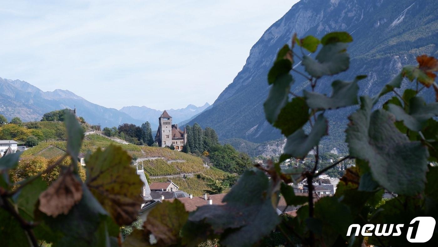 '시에르~잘게쉬' 와인 트레일ⓒ News1 윤슬빈 기자 