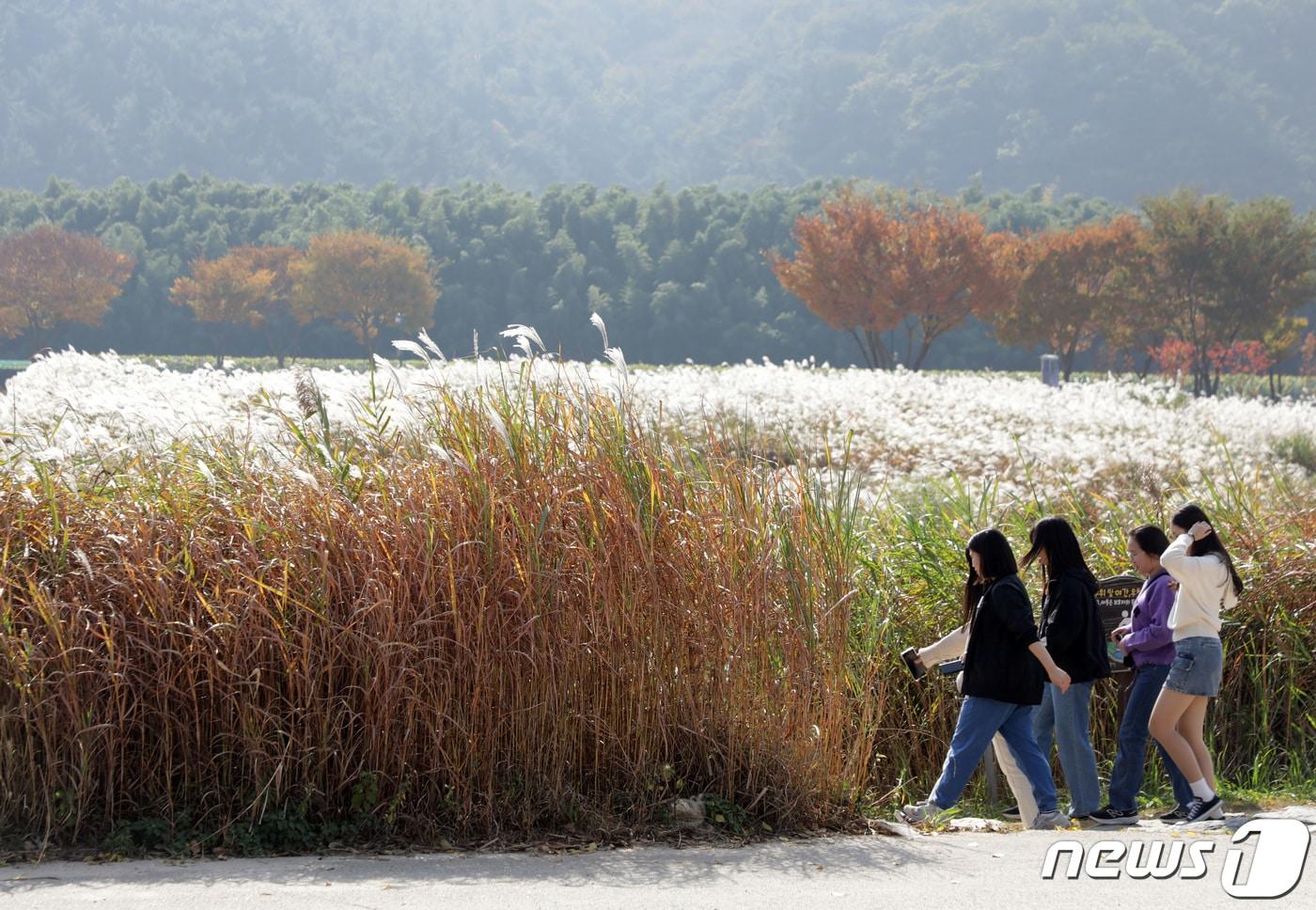 울산 태화강국가정원에서 시민들이 가을날씨를 만끽하며 시간을 보내고 있다. /뉴스1 ⓒ News1 DB