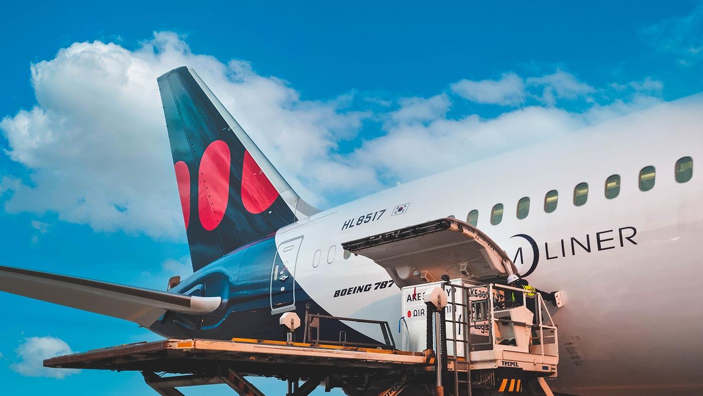 (에어프레미아 제공)