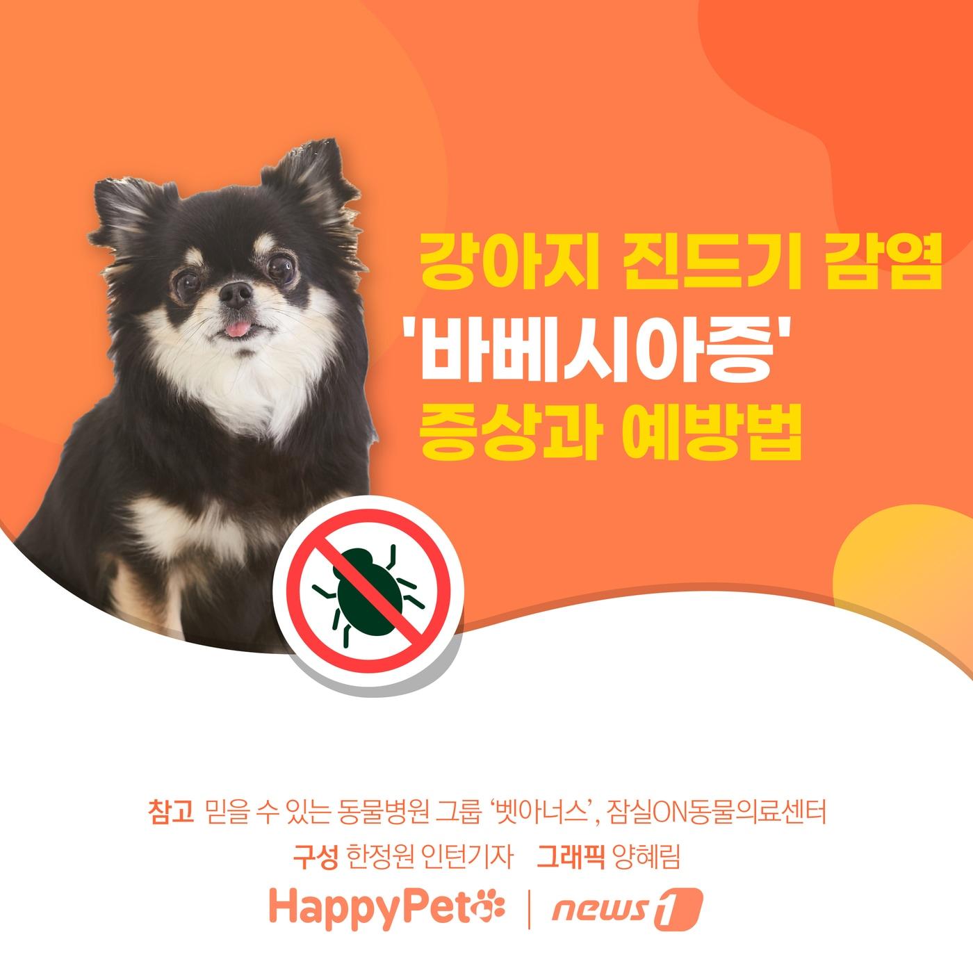 본문 이미지 - 강아지 진드기 감염 펫카드