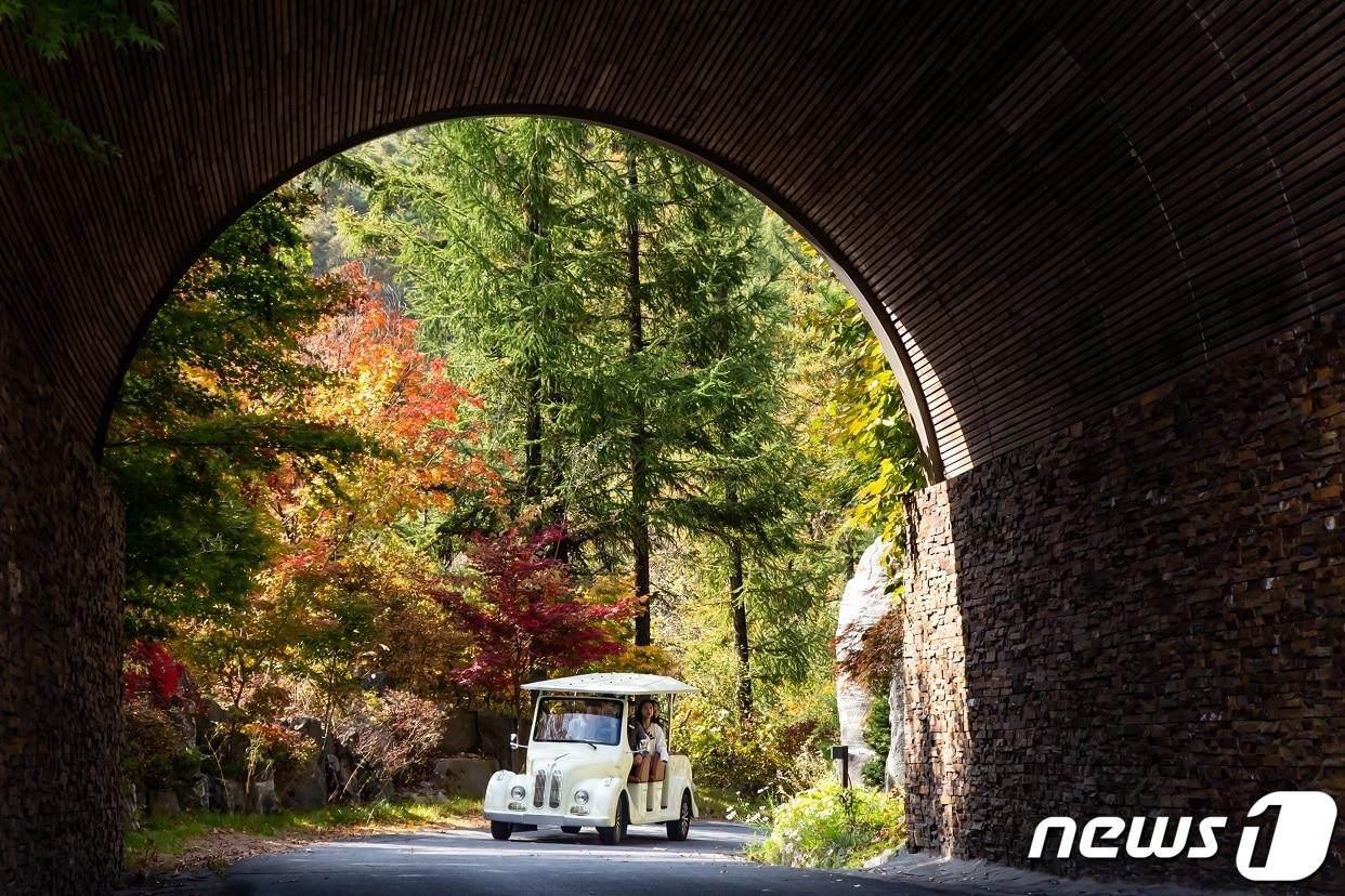 본문 이미지 - 포레스트 리솜의 빙글빙글 카트탐험(호반호텔&리조트 제공)