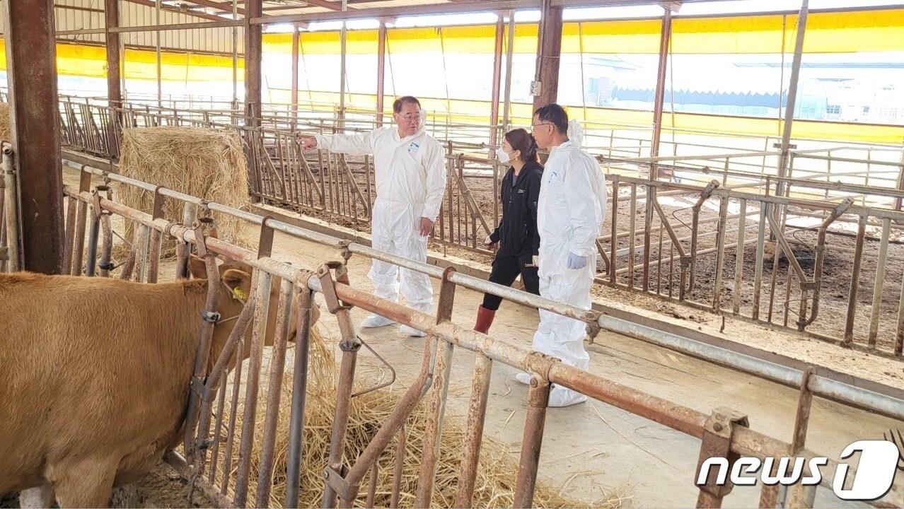 본문 이미지 - 31일 김종훈 전북도 경제부지사가 정읍시 태인면 소재 한 한우농장에서 럼피스킨병 방역 관련 현장 점검을 실시하고 있다.2023.10.31.&#40;전북도 제공&#41;/뉴스1 