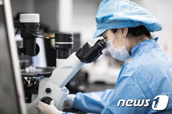 본문 이미지 - 대웅제약 연구원이 전임상시험을 진행하고 있다.(대웅제약 제공)