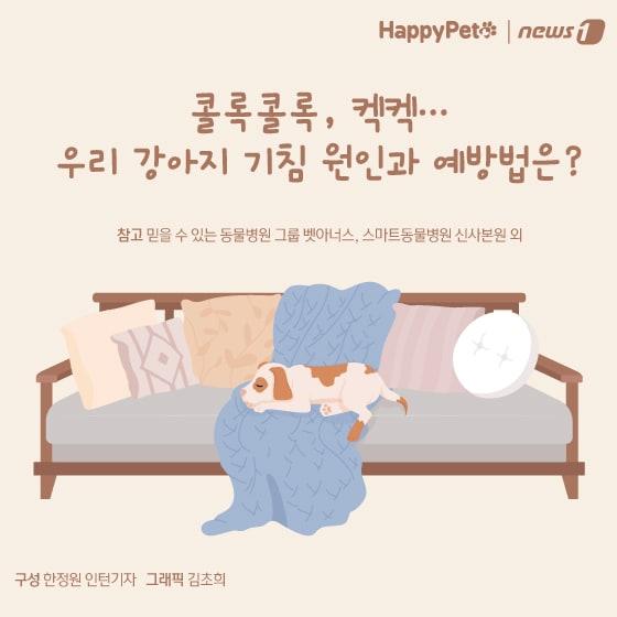 본문 이미지 - 강아지 호흡기 질환 펫카드