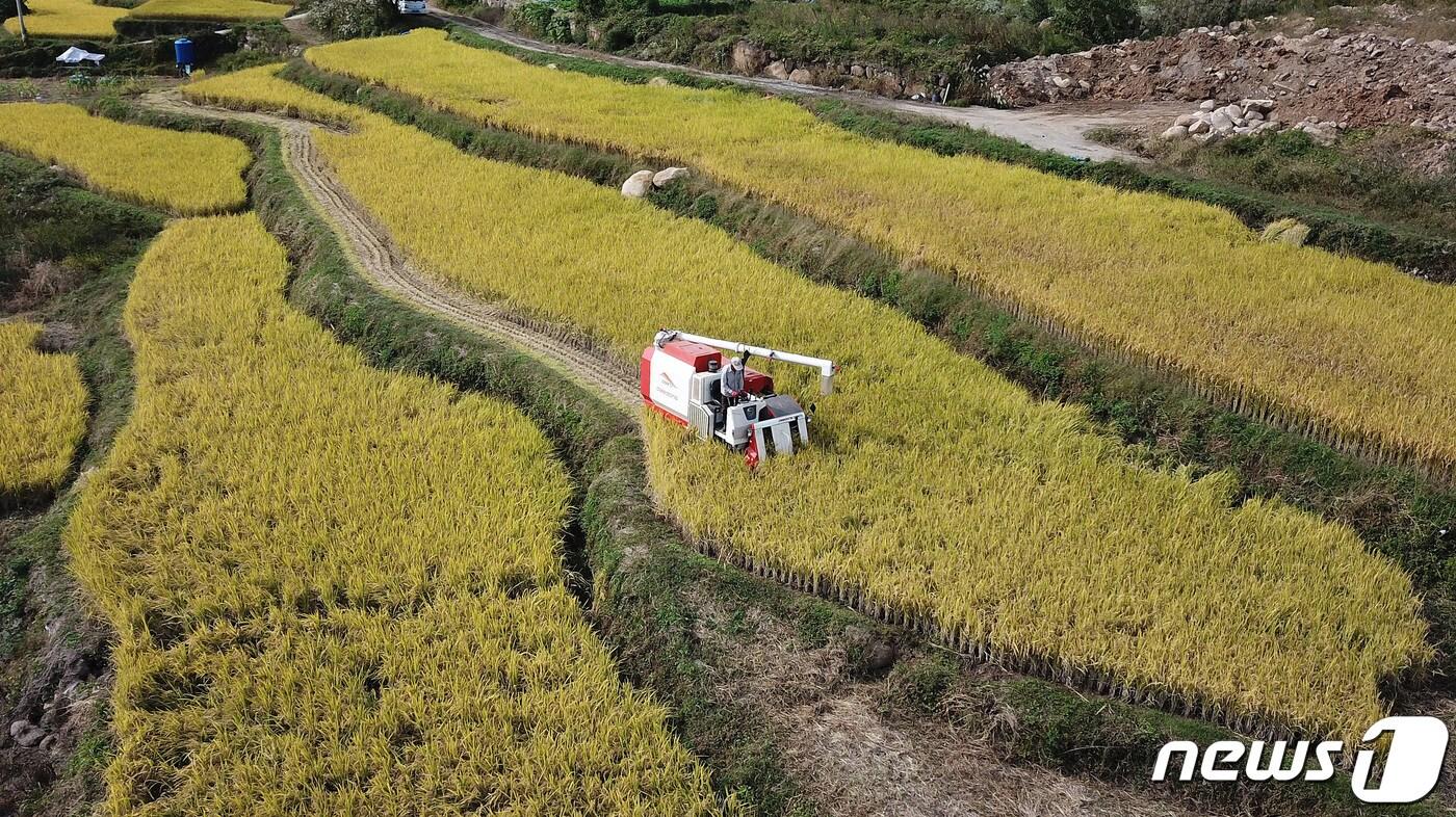 ⓒ News1 공정식 기자