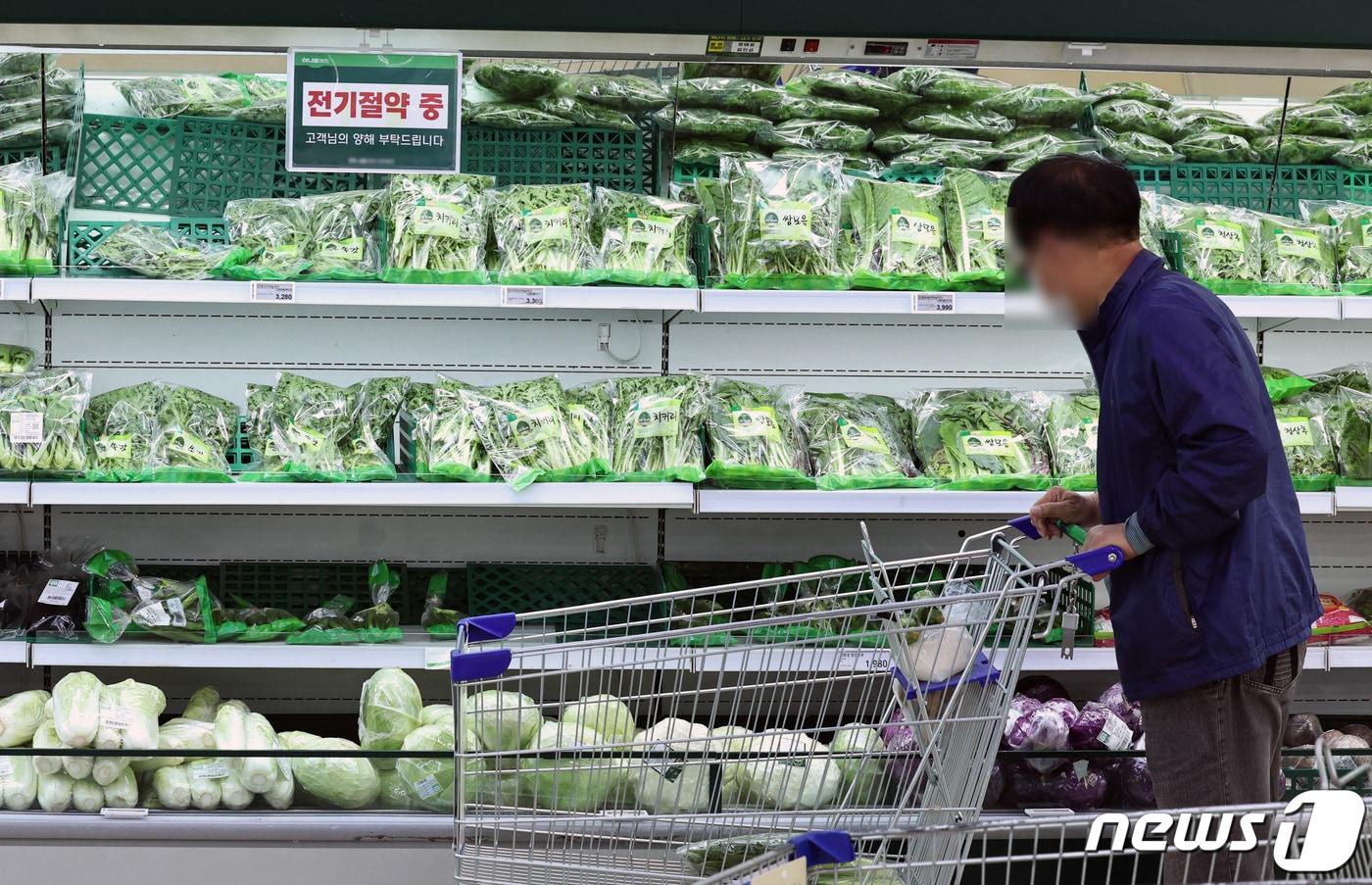 5일 서울시내의 한 대형마트에서 한 시민이 장을 보고 있다. 2023.10.5/뉴스1 ⓒ News1 구윤성 기자