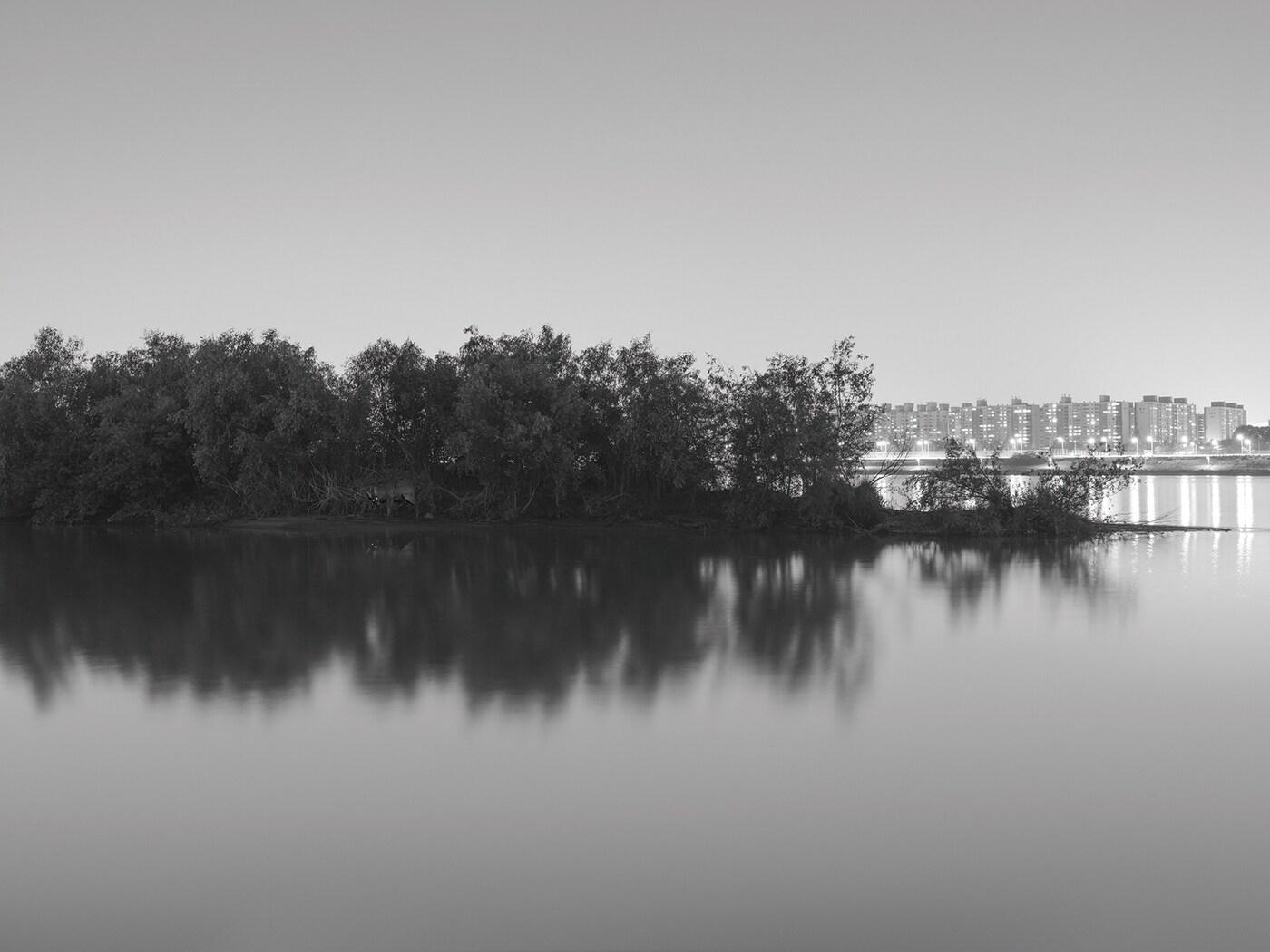 본문 이미지 - 권도연, 올림픽대로, 고라니, 잉크젯 프린트, 2023 &#40;페리지갤러리 제공&#41;