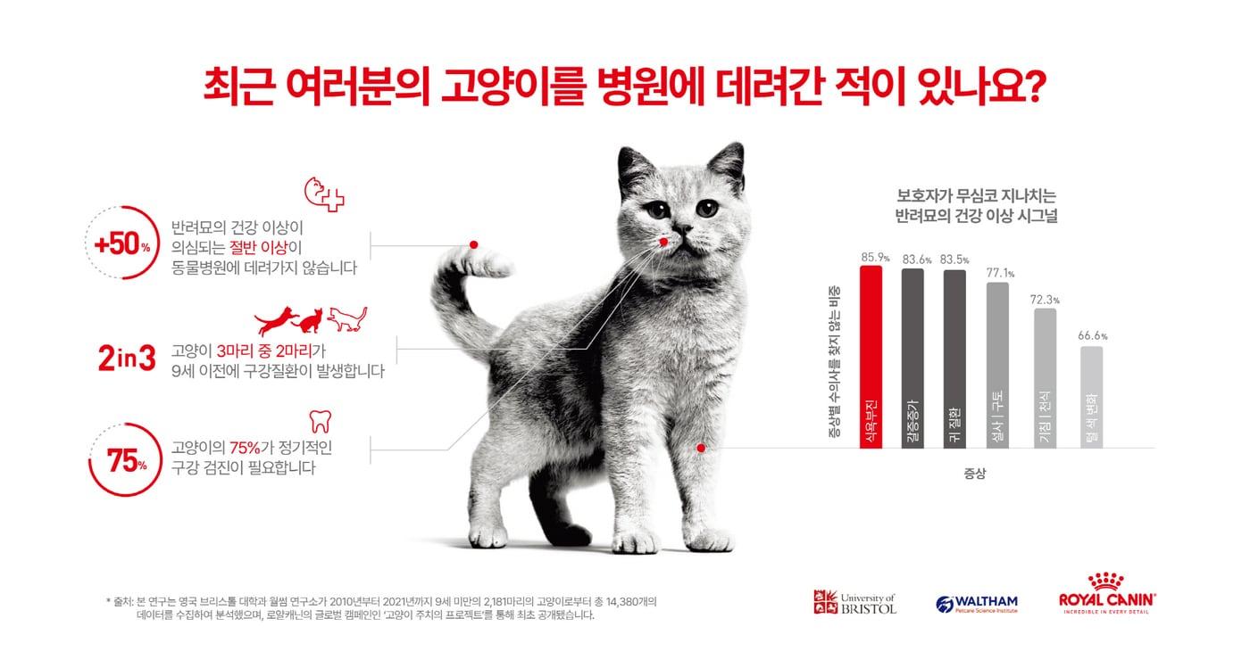 로얄캐닌이 영국 브리스톨 대학과 함께 한 '반려묘 건강관리 실태' 조사 결과를 공개했다.ⓒ 뉴스1