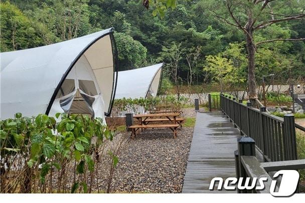 본문 이미지 - 은평구 제공. @News1