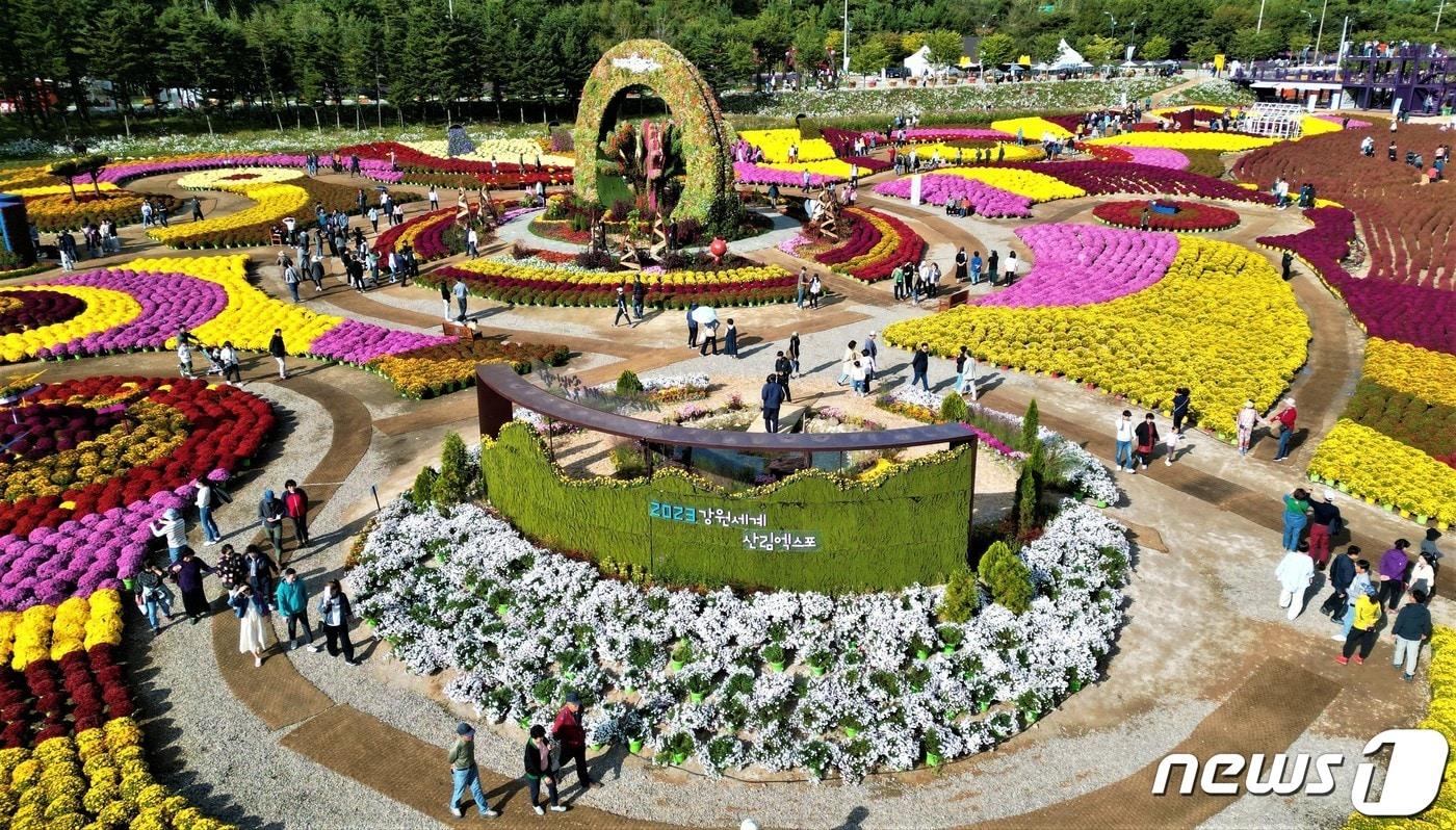 본문 이미지 - 강원 인제군 용대관광지 일대서 열리고 있는 가을꽃 축제장에 꽃이 만개해 있다.(자료사진)ⓒ News1 DB