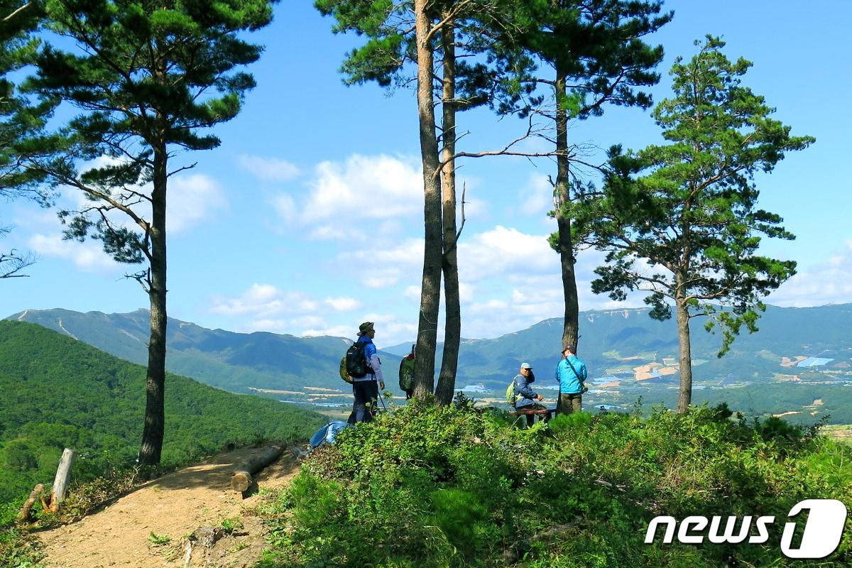 본문 이미지 - DMZ펀치볼둘레길.(양구군 제공)/뉴스1