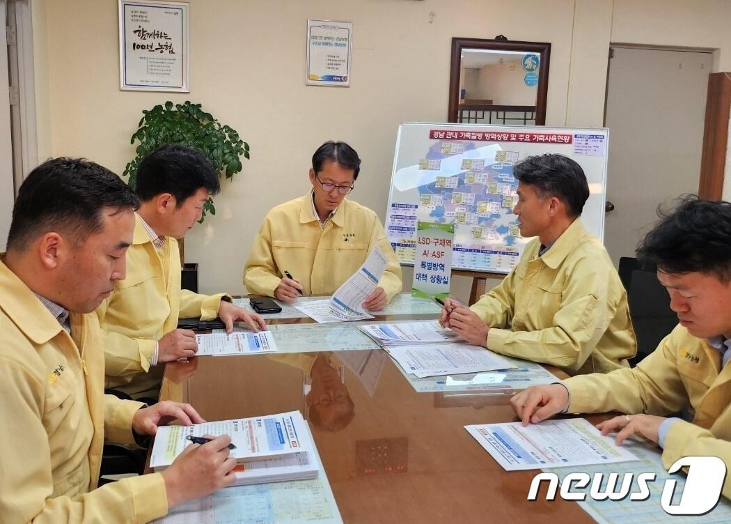 본문 이미지 - 경남농협이 지난달 31일 긴급방역대책회의를 열고 럼피스킨병 백신 접종 인력을 지원하기로 했다.&#40;경남농협 제공&#41;