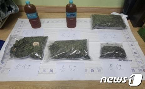 본문 이미지 - 압수된 마약 증거물.(서해해경청 제공)2023.11.1/뉴스1