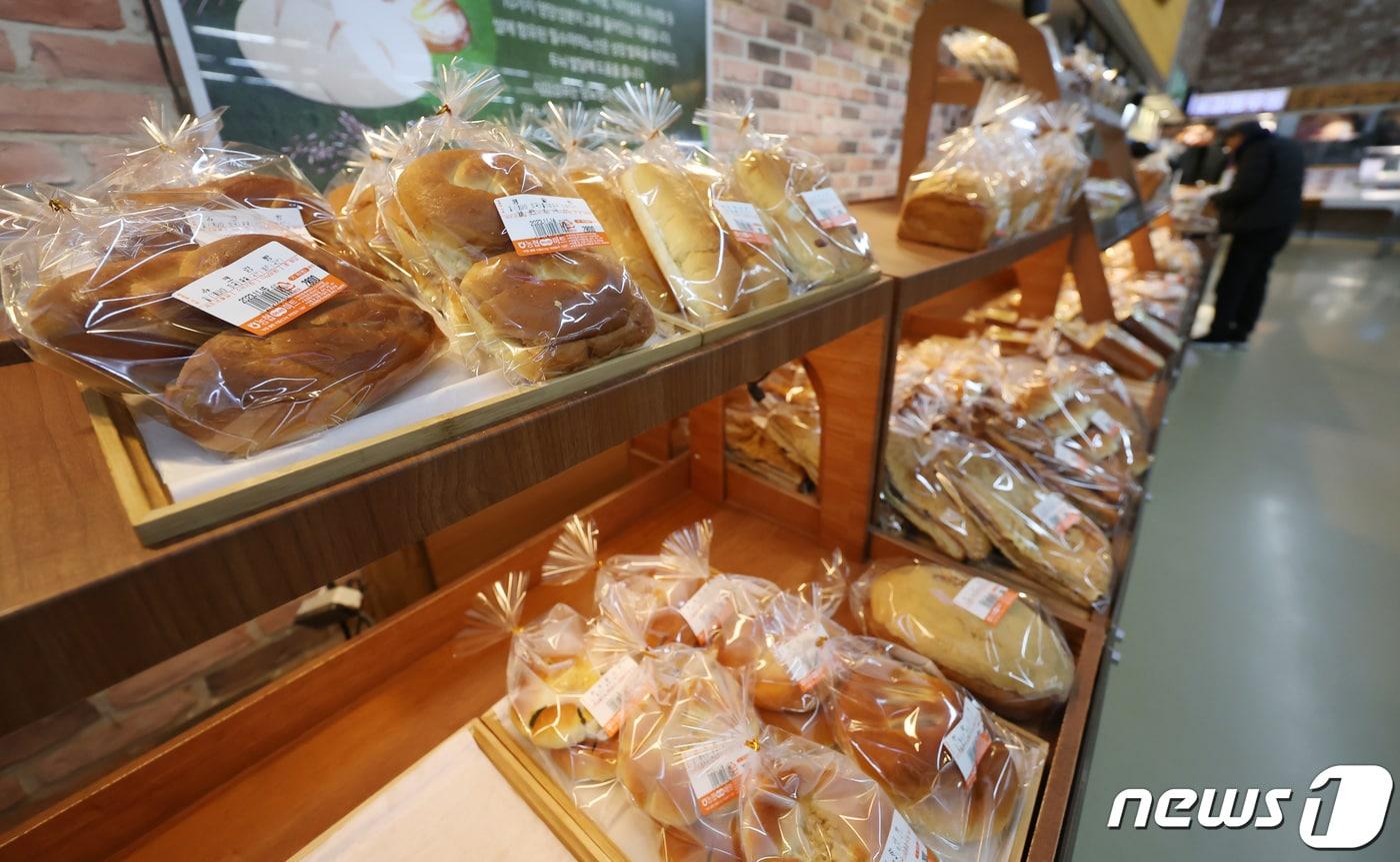 본문 이미지 - (사진은 기사 내용과 무관함) / 뉴스1 ⓒ News1