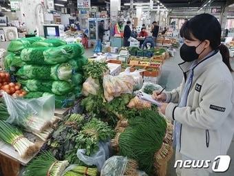 본문 이미지 - 대전보건환경연구원이 김장용 농산물에 대한 잔류농약 검사를 위해 농산물을 수거하고 있다.(대전시 제공)/뉴스1 ⓒ News1 