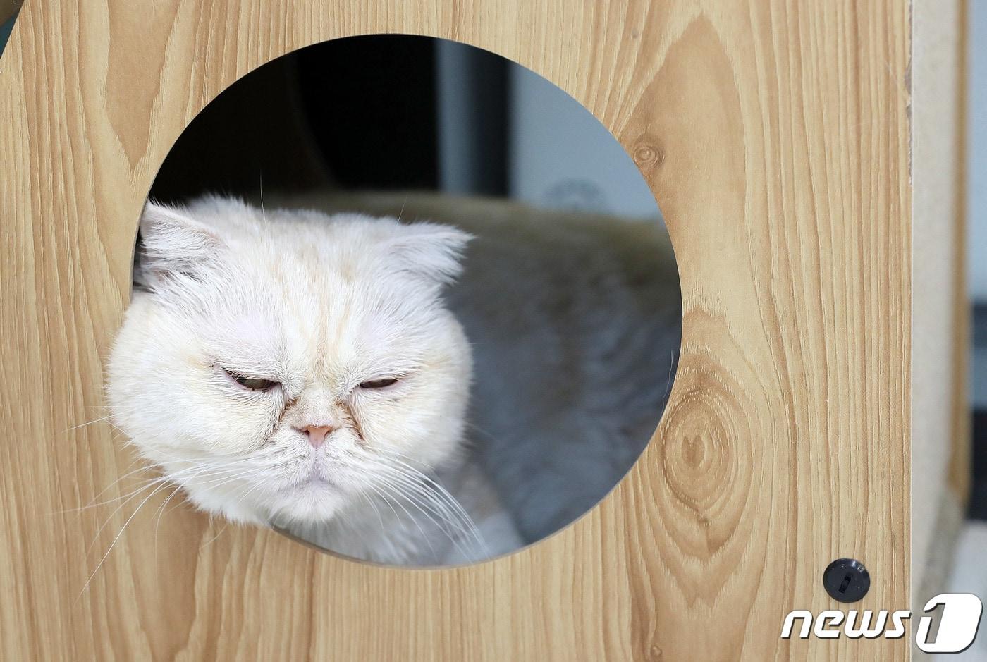 사진은 기사 내용과 무관함.  2023.11.13/뉴스1 ⓒ News1