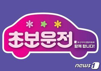 본문 이미지 - 초보운전 스티커 디자인(부산시청 제공)