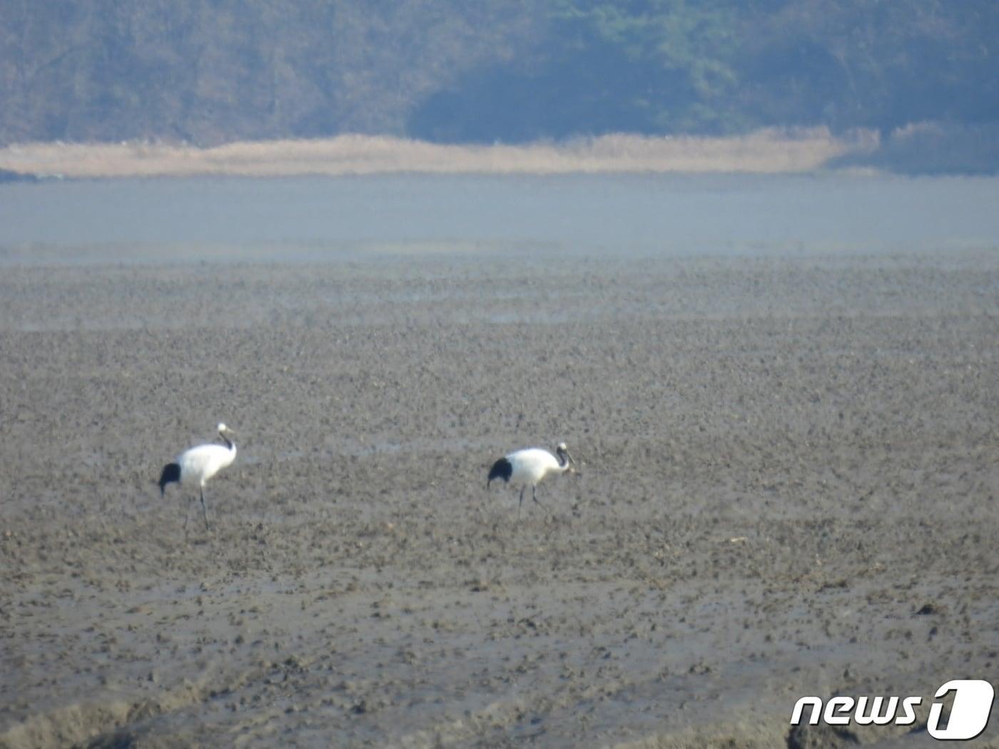 본문 이미지 - (사진은 기사 내용과 무관함) / 뉴스1 ⓒ News1