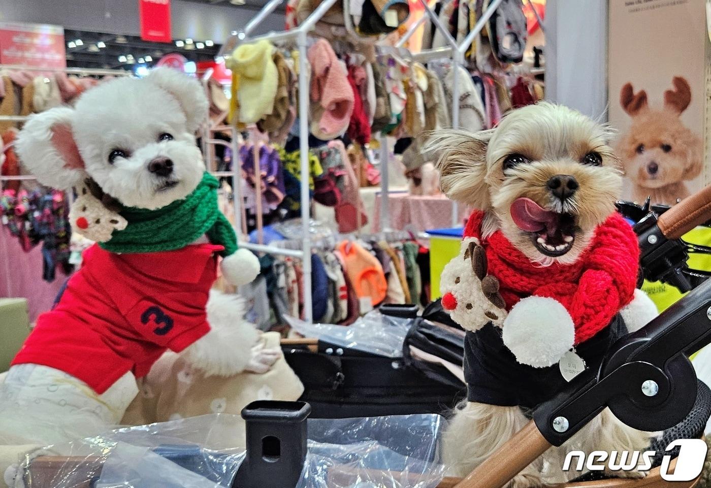 반려동물 산업 전시회 '2023 메가주 일산'이 17일 경기 고양시 킨텍스에서 열렸다. ⓒ 뉴스1 최서윤 기자