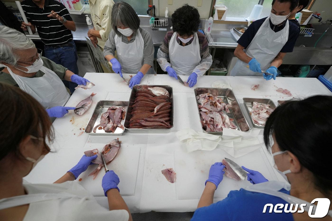 후쿠시마에서 온 표본 생선들을 손질하는 모습. ⓒ 로이터=뉴스1 ⓒ News1 정지윤 기자