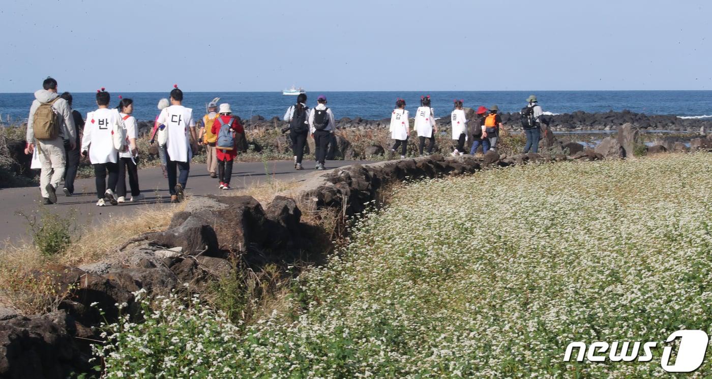 제주 올레길 걷기(자료사진)/뉴스1
