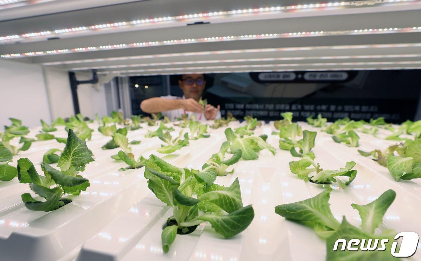 &#40;사진은 기사 내용과 무관함&#41; / 뉴스1 ⓒ News1