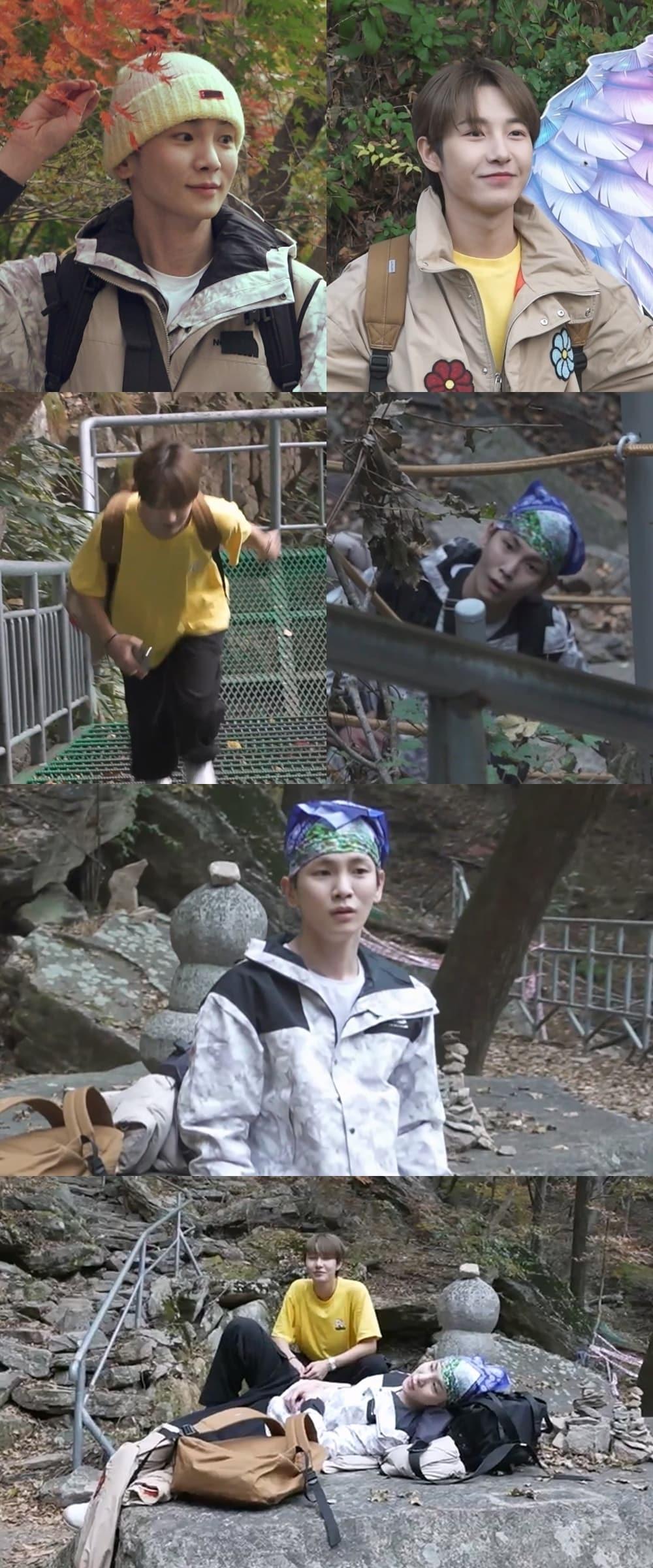 본문 이미지 - MBC 나혼자산다 제공