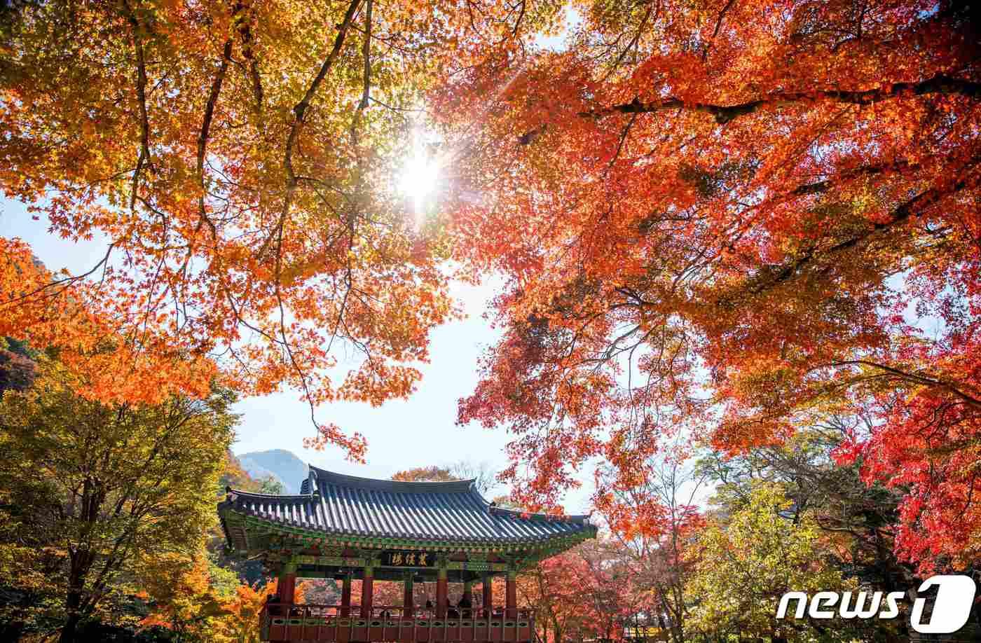 전남 장성 백양사.&#40;장성군 제공. 재판매 및 DB금지&#41;/뉴스1DB