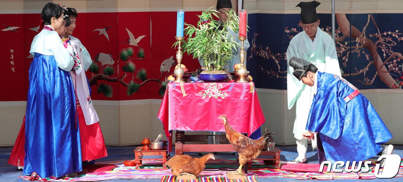 본문 이미지 - 전통혼례체험에서 혼례복을 차려 입은 꼬마 신랑·신부가 혼례를 치르고 있다. 2023.11.2 ⓒ 뉴스1 유경석 기자