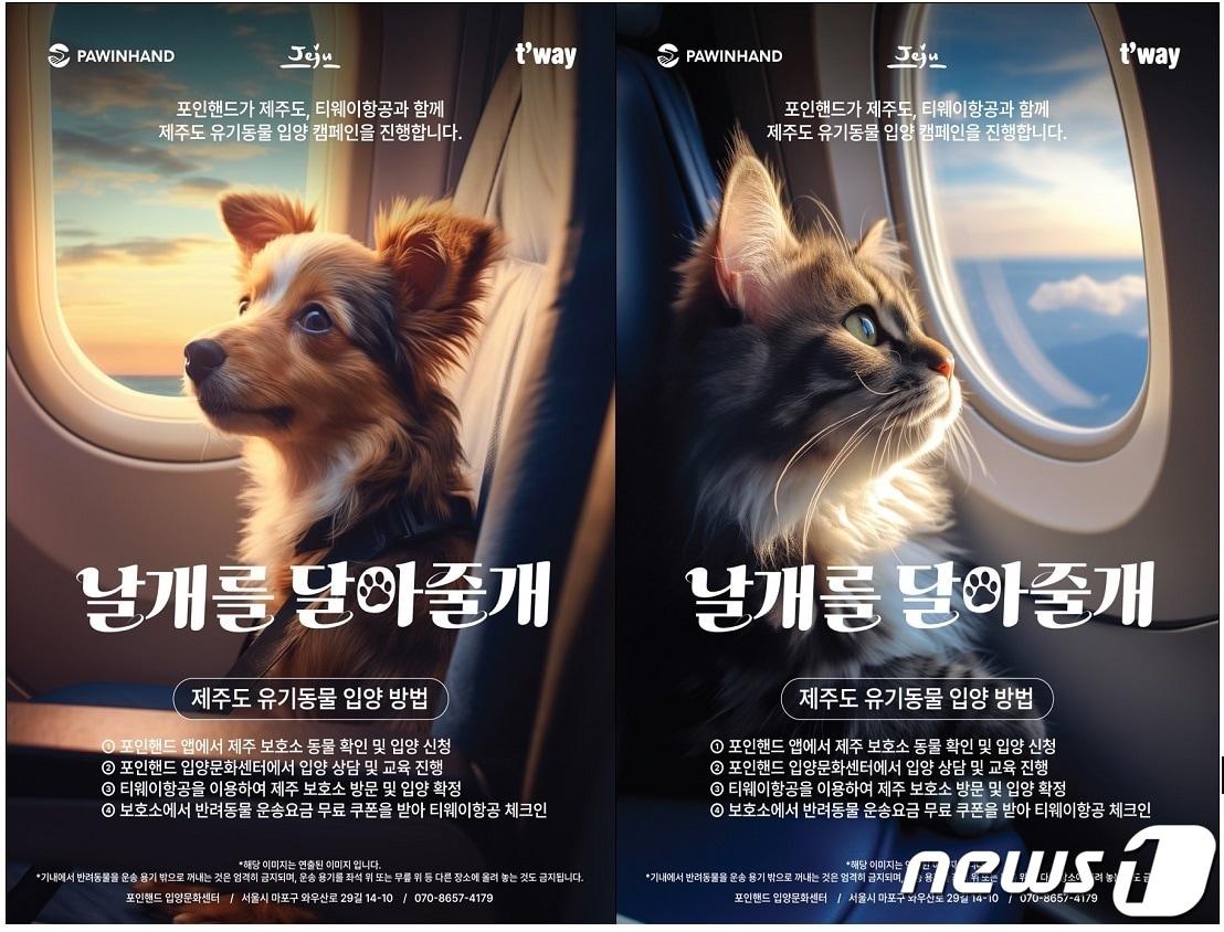 본문 이미지 - 20일 제주도는 서울 마포구 포인핸드 입양문화센터에서 포인핸드, 티웨이항공과 &#39;날개를 달아줄개&#39; 프로젝트로 제주도 유기동물 입양 활성화를 위한 업무협약&#40;MOU&#41;을 체결했다고 이날 밝혔다.&#40;제주도청 제공&#41;/뉴스1 