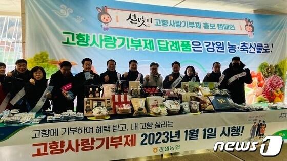 본문 이미지 - 고향사랑기부제 대국민 홍보 캠페인.(자료사진)/뉴스1