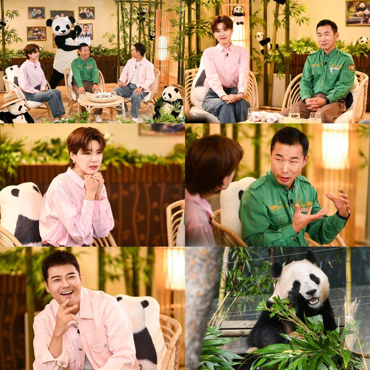 본문 이미지 - 사진=SBS '푸바오와 할부지'