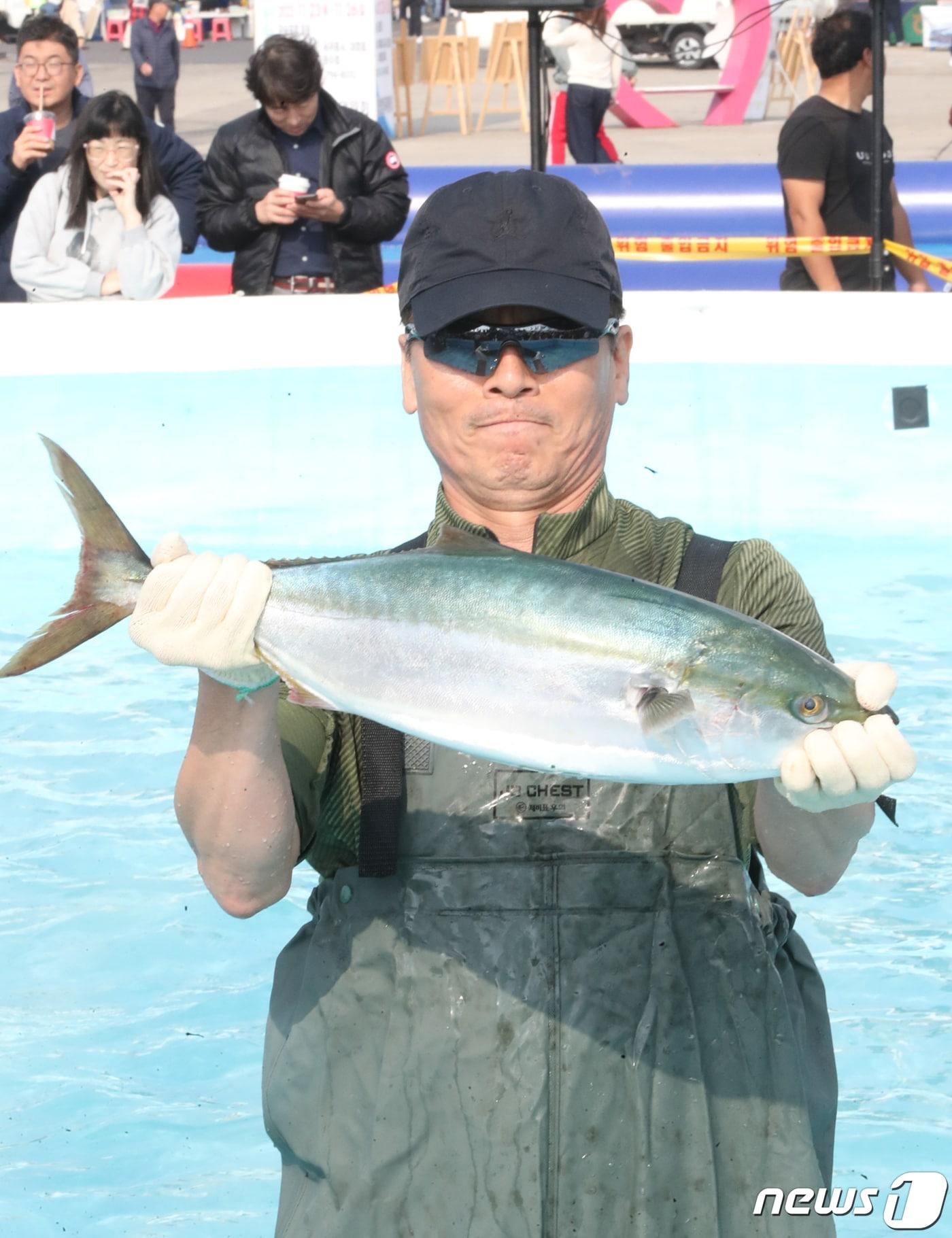 본문 이미지 - 방어축제 방어잡기(자료사진)/뉴스1