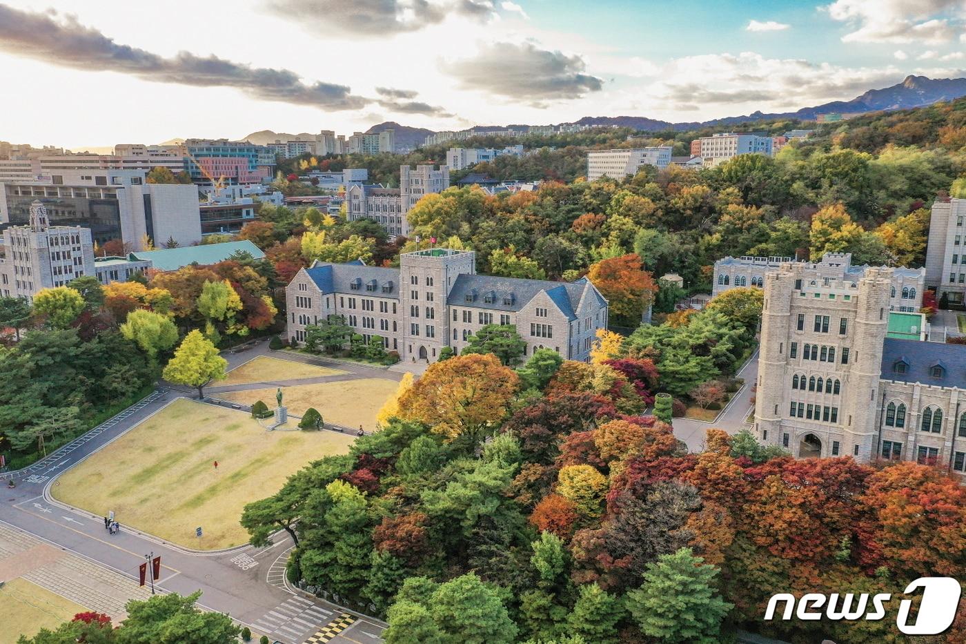 본문 이미지 - (고려대 제공)