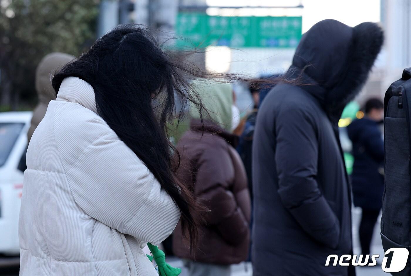 본문 이미지 - 뉴스1DB ⓒ News1 박지혜 기자