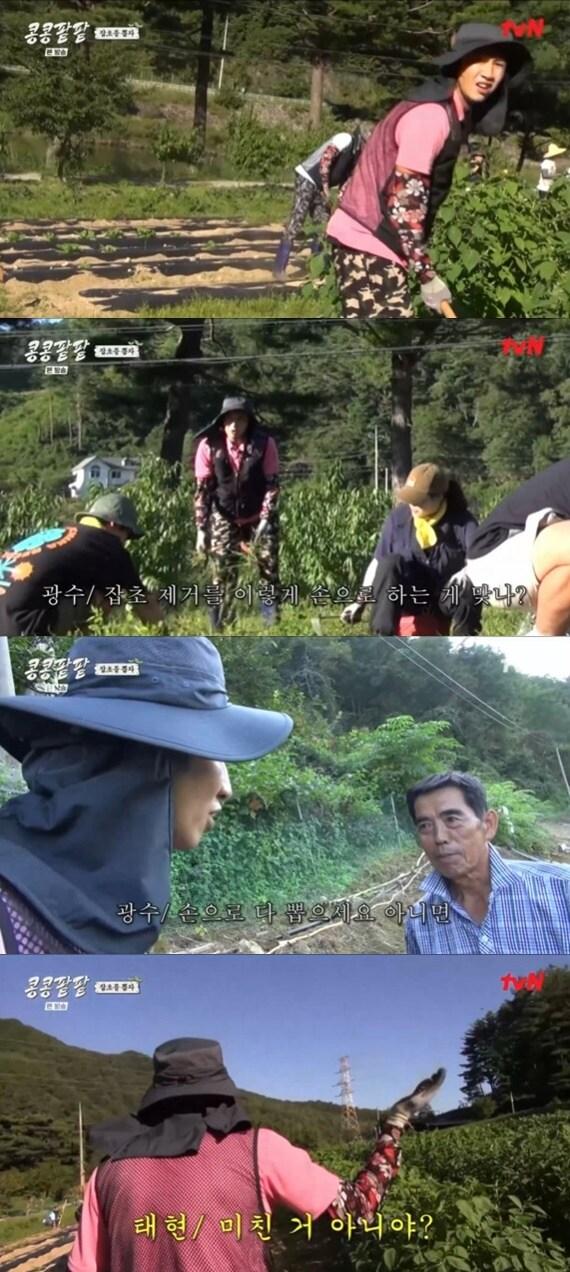 본문 이미지 - tvN '콩콩팥팥' 캡처