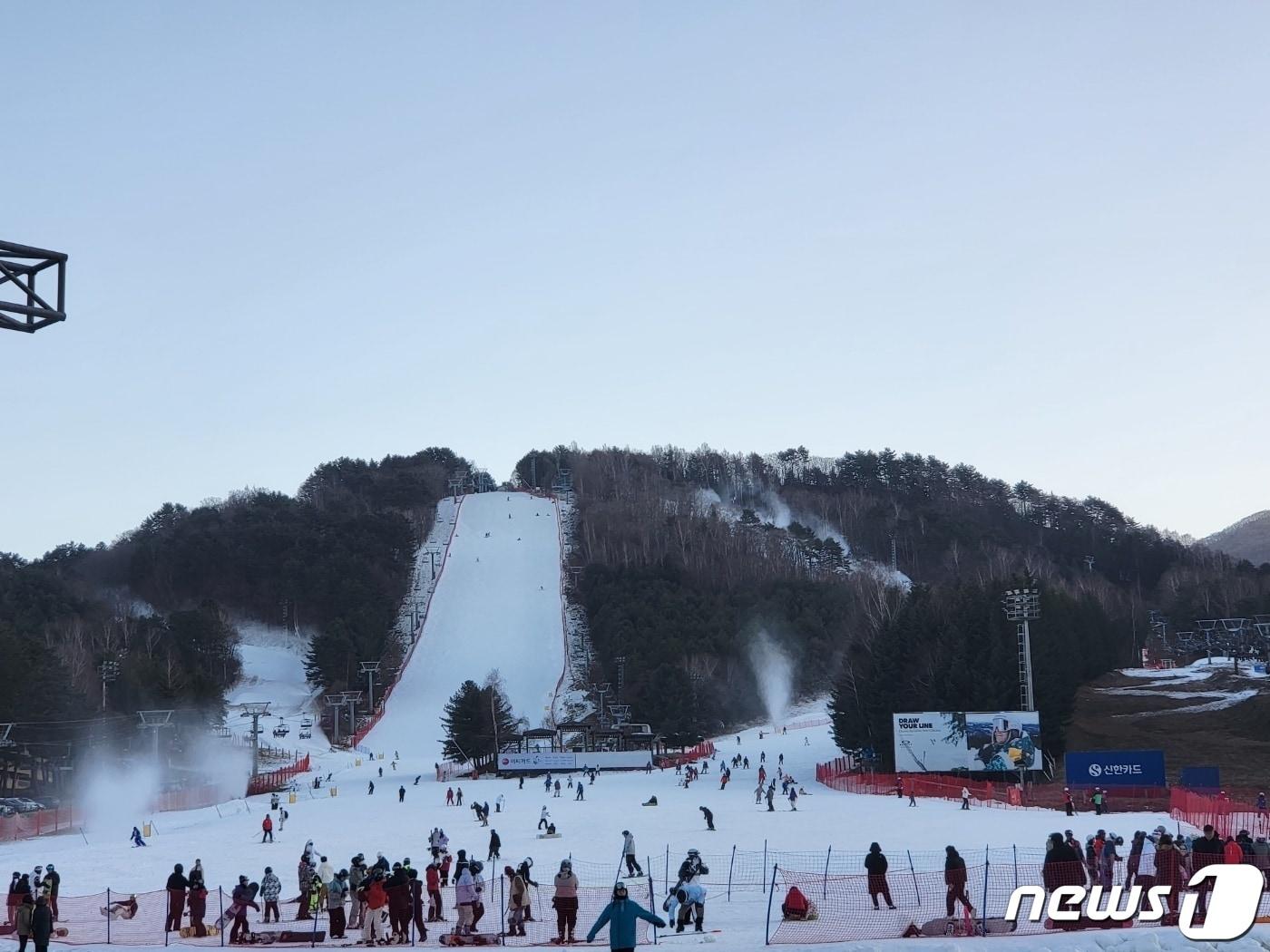 본문 이미지 - 강원 평창의 HJ매그놀리아용평호텔앤리조트(용평리조트)가 25일 올 겨울시즌 첫 주말 스키장 운영에 들어간 가운데 이날 주간에만 약 3200명이 몰려 스키와 스노보드를 즐긴 것으로 나타났다. 2023.11.25 ⓒ News1 신관호 기자