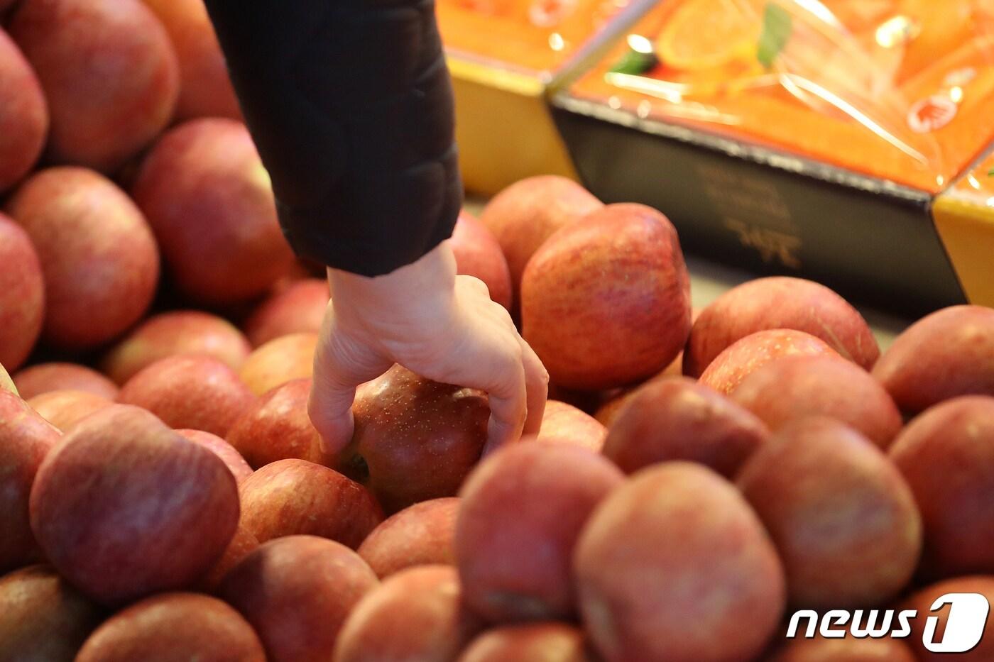 본문 이미지 - 서울 마포구 농수산물 시장을 찾은 시민이 사과를 고르고 있다. (뉴스1 DB) ⓒ News1 이승배 기자