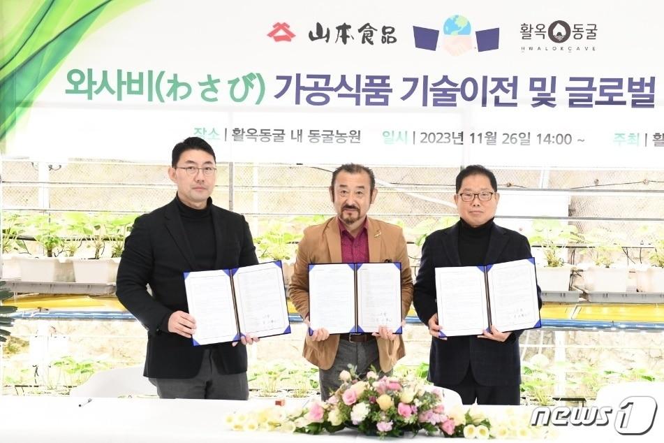 본문 이미지 -  27일 충북 충주 활옥동굴은 동굴에서 재배한 고추냉이를 가공품으로 생산하기 위해 일본 야마모토 식품과 협약했다고 밝혔다.(활옥동굴 제공)2023.11.27/뉴스1