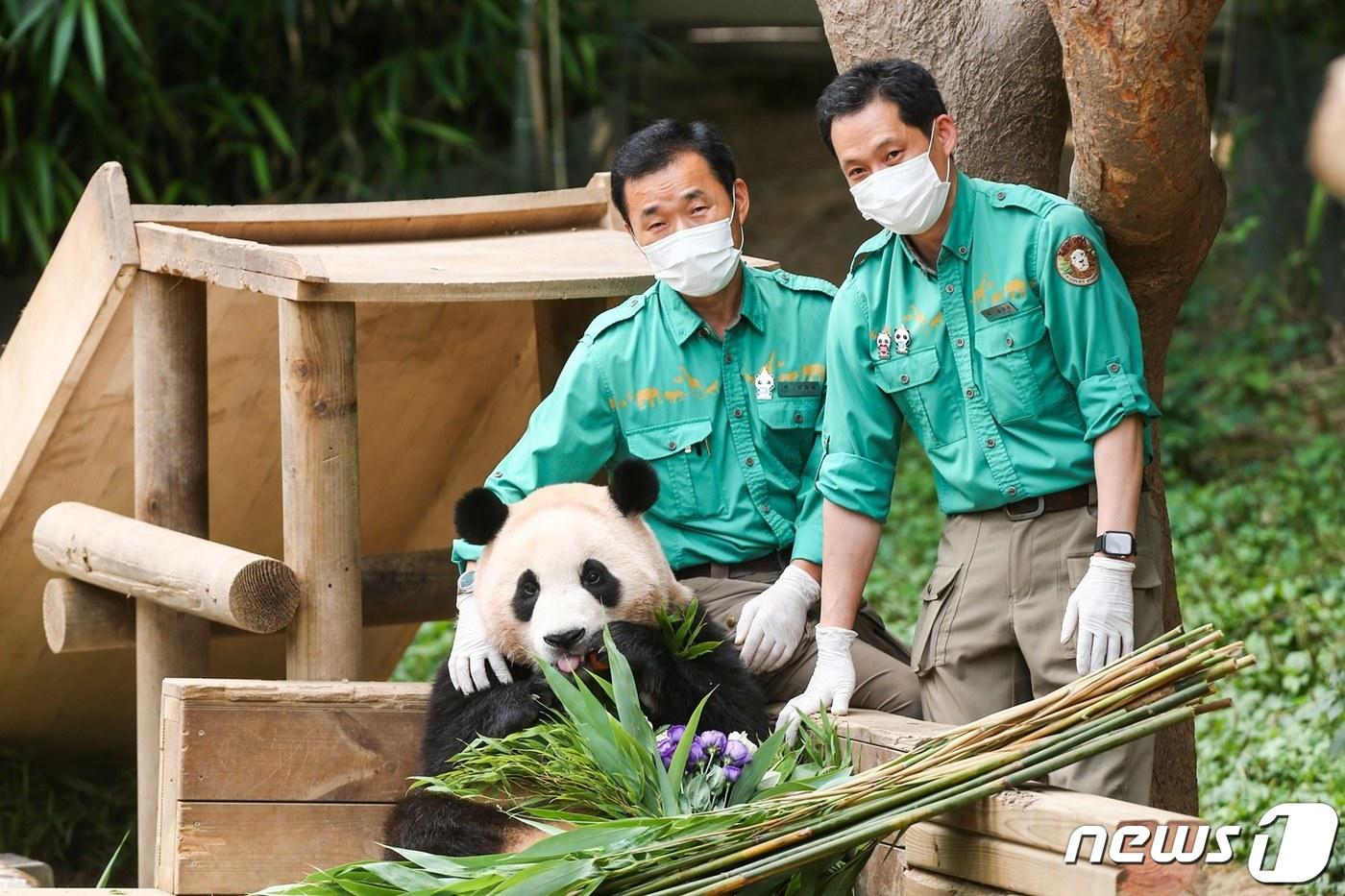강철원 사육사(왼쪽), 송영관 사육사. (삼성물산 리조트 제공) 2023.11.28/뉴스1