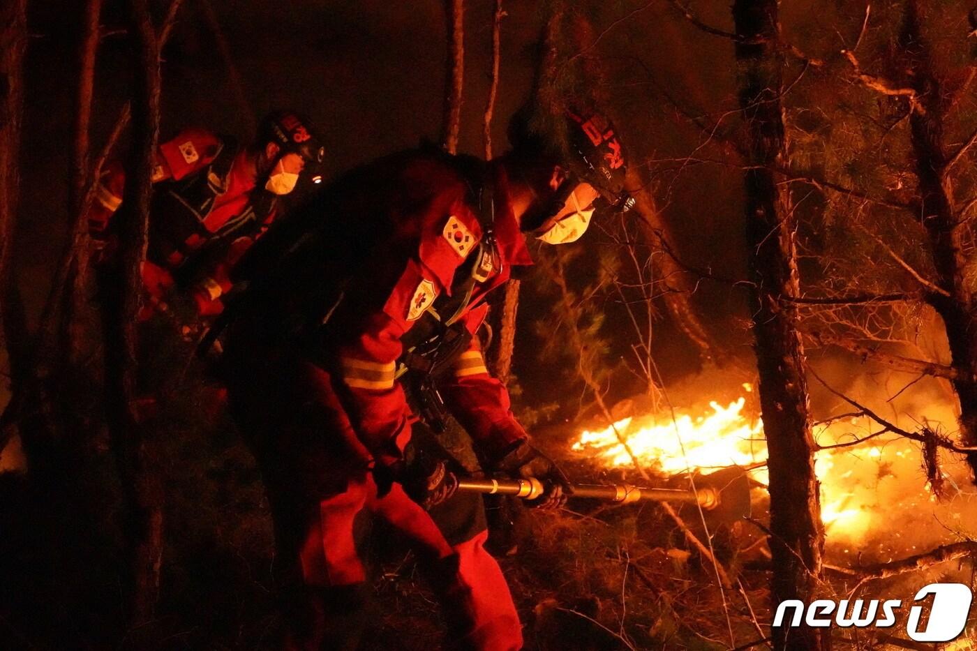 본문 이미지 - 산불재난특수진화대 자료사진. (북부지방산림청 제공) 2023.11.28/뉴스1