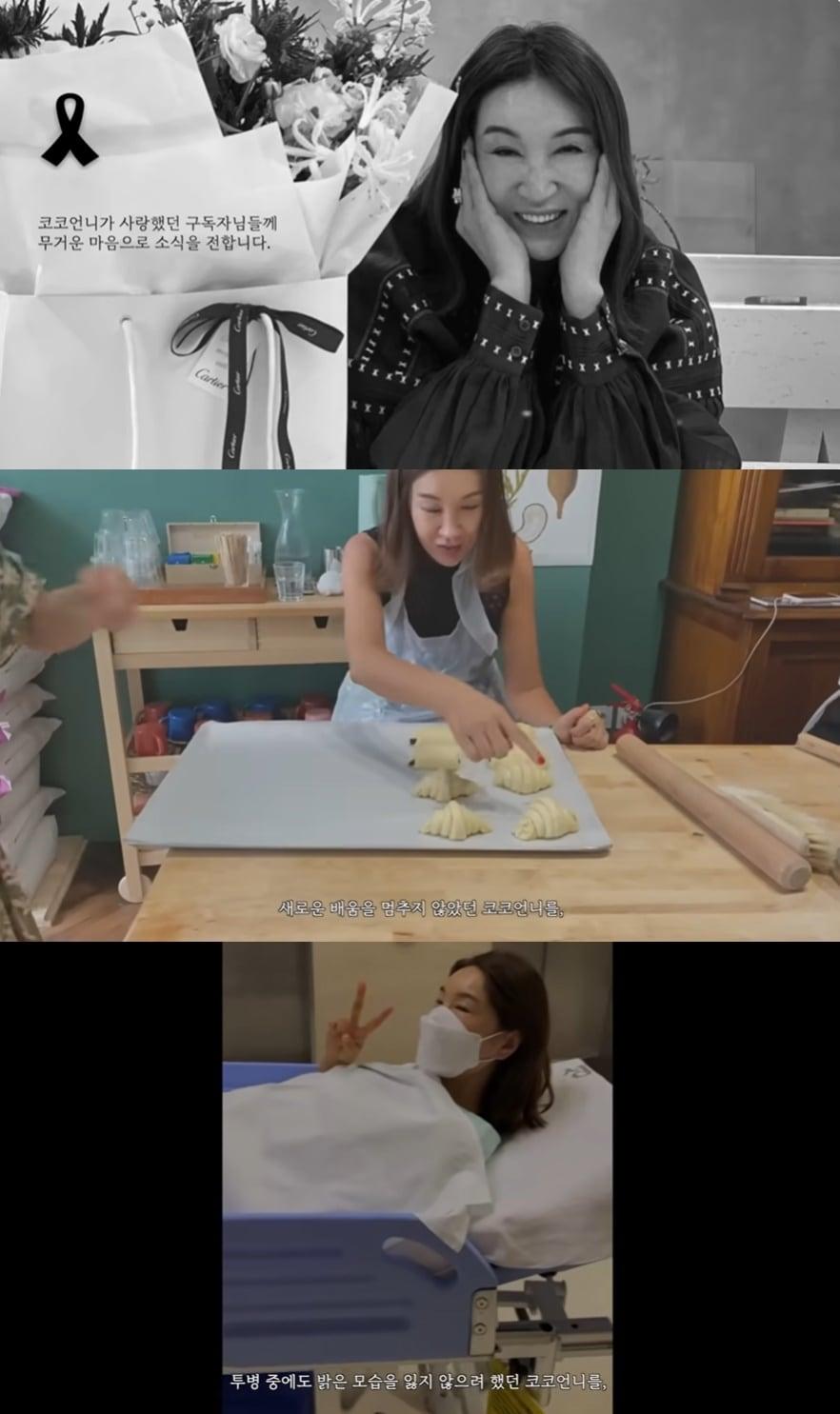 본문 이미지 - (유튜브 채널 '코코초이' 갈무리)