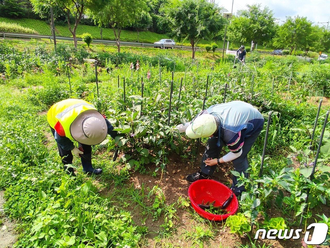 본문 이미지 - (서울 광진구 제공) 