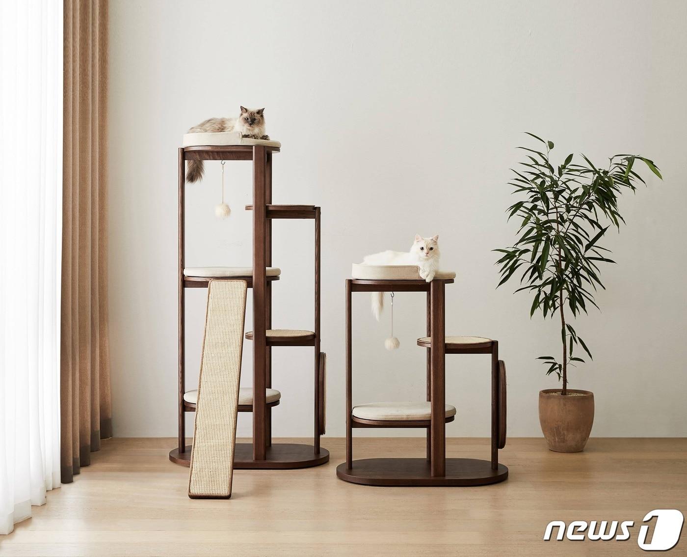 본문 이미지 - 신세계까사 몽스 펫 가구 시리즈 캣 타워(신세계까사 제공)