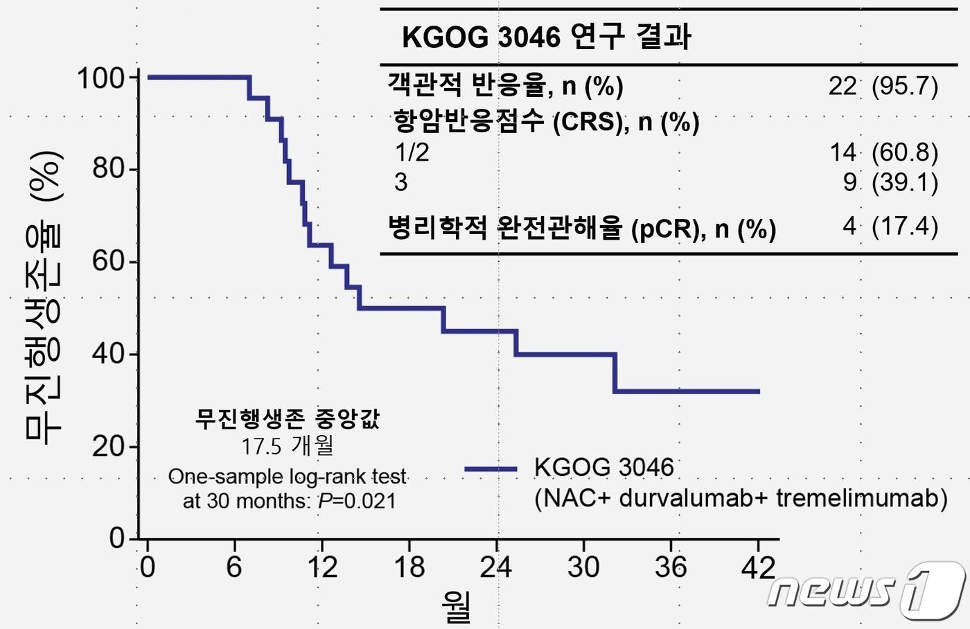 본문 이미지 - 3기 이상 난소암환자 23명에게 면역관문억제제를 항암제와 함께 투여한 결과 무진행생존기간은 평균 17.5개월로, 기존 3기 이상 난소암 환자의 무진행생존기간에 비해 1.5배 가까이 늘었다. 이중 환자 9명에게선 30개월 이상 암이 발견되지 않기도 했다./(세브란스병원 제공)