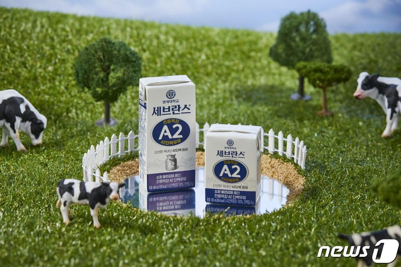 (연세유업 제공)
