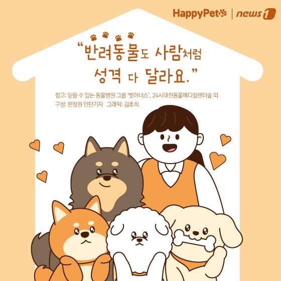 본문 이미지 - 반려견 성격 유형 펫카드