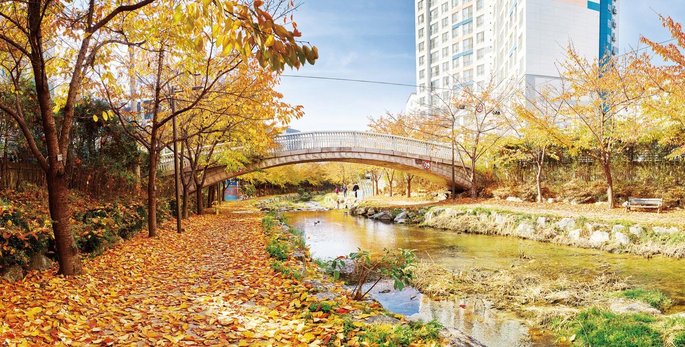 서울 송파구 성내천 산책길. (송파구 제공)