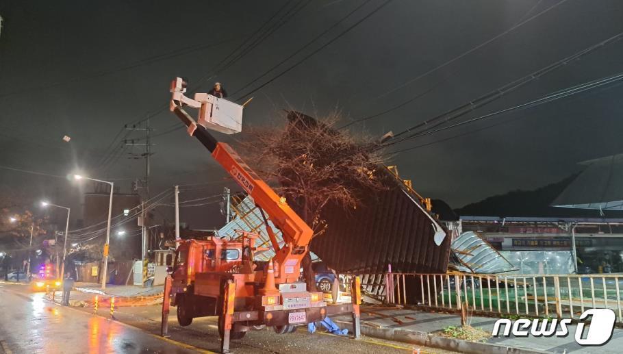 본문 이미지 - 강풍에 쓰러진 나무.(경기도소방재난본부 제)