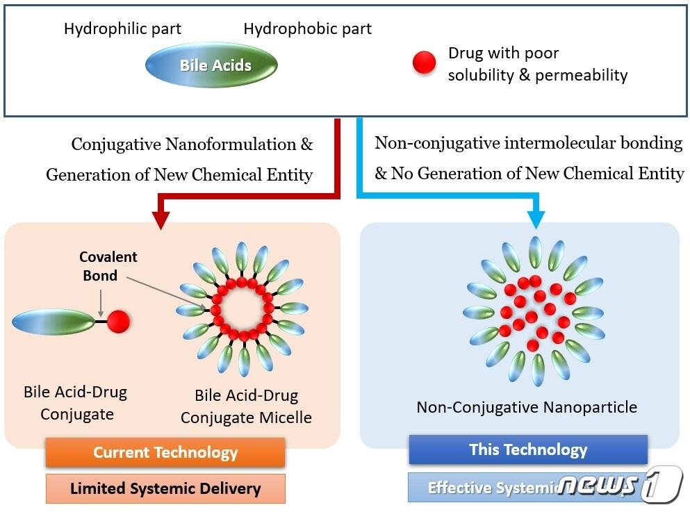 본문 이미지 - 연구성과 요약 모식도.(KBSI 제공)/뉴스1
